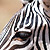 Tanzania